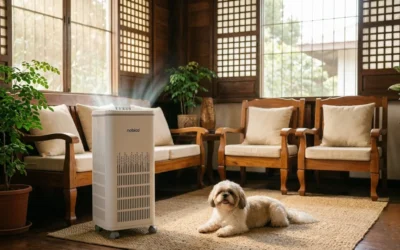 Nobico Air Purifier: Built for Bigger Filipino Households